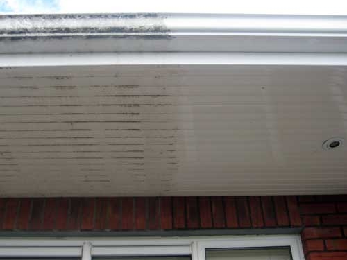 Fascia and soffit cleaning